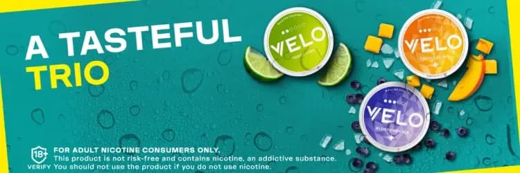 Velo Nicotine Pouches
